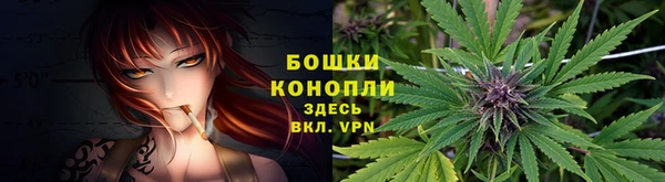 a pvp Богданович