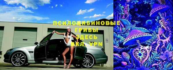 a pvp Богданович
