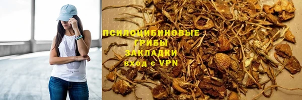 a pvp Богданович
