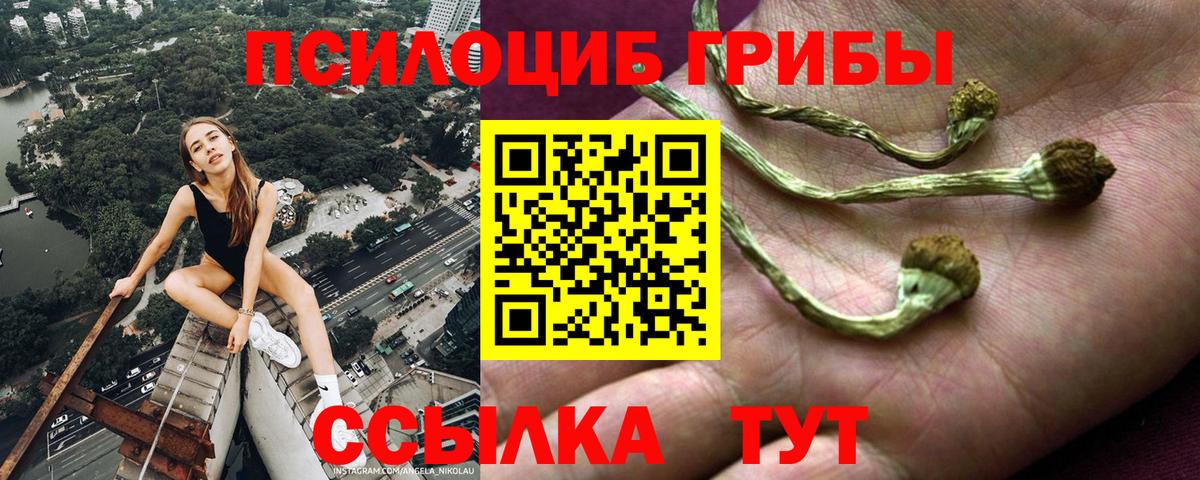 Саяногорск  Галлюциногенные грибы мухоморы  Вход с VPN 