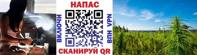 Каннабис OG Kush  Саяногорск 